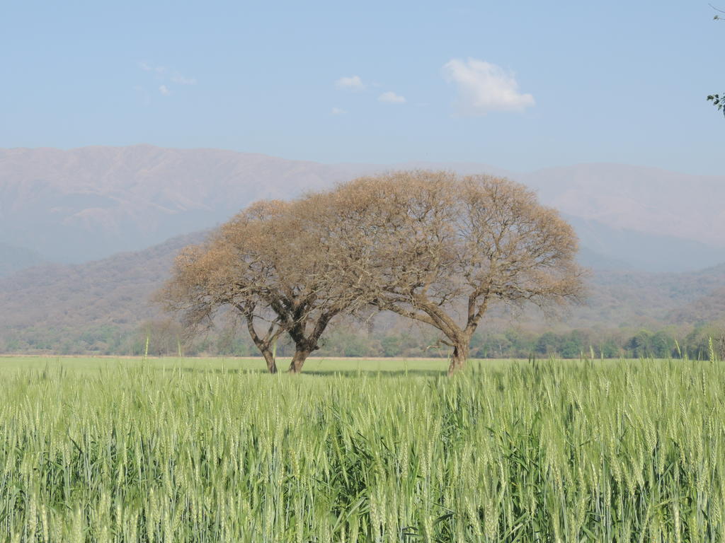 Finca Las Margaritas Chicoana Bagian luar foto