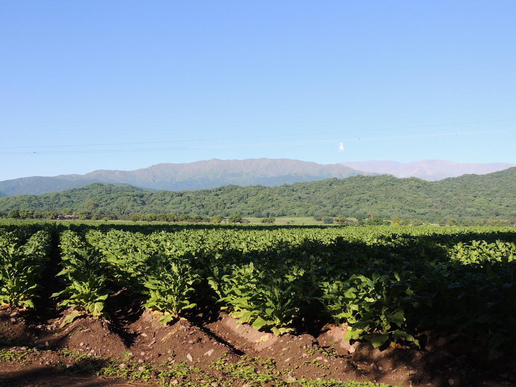 Finca Las Margaritas Chicoana Bagian luar foto
