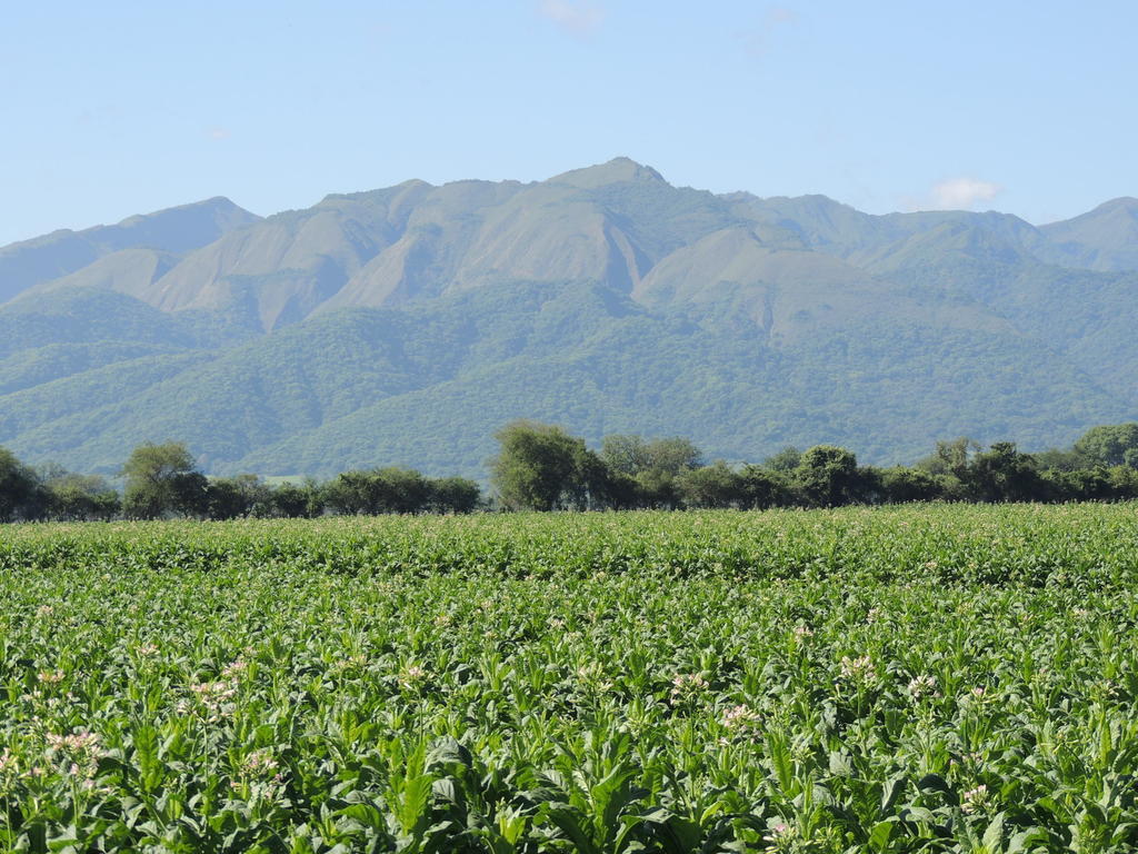 Finca Las Margaritas Chicoana Bagian luar foto