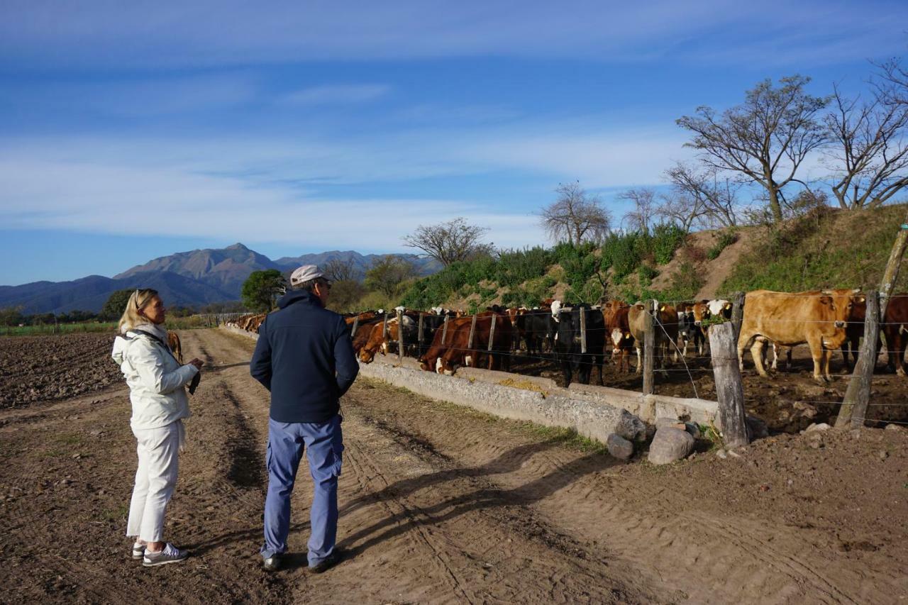 Finca Las Margaritas Chicoana Bagian luar foto